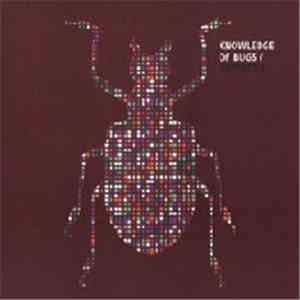 Asteroth / Knowledge Of Bugs - Untitled Split EP download flac mp3