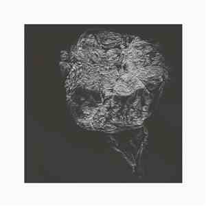 David Toop - Entities Inertias Faint Beings download flac mp3