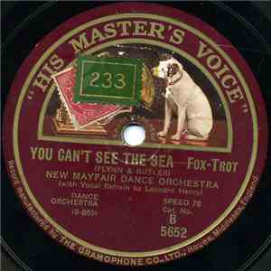 New Mayfair Dance Orchestra - You Can't See The Sea / Dancing Goblin download flac mp3