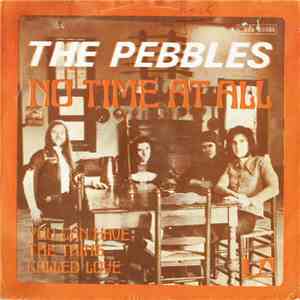 The Pebbles - No Time At All download flac mp3