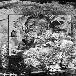 Anal Cake, Vomiting Shit - Untitled download flac mp3