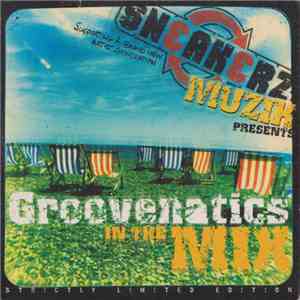 Groovenatics - Sneakerz Muzik Presents: Groovenatics In The Mix download flac mp3