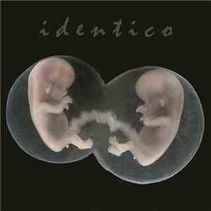 Sad Lovers And Giants - Identico download flac mp3