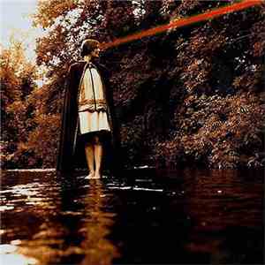 Scout Niblett - This Fool Can Die Now download flac mp3