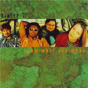 Sister 7 - Know What You Mean download flac mp3