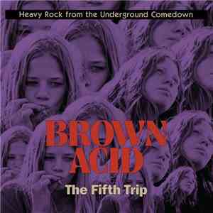 Various - Brown Acid: The Fifth Trip download flac mp3