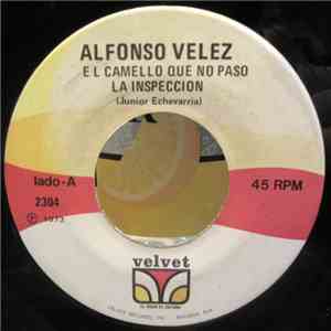 Alfonso Velez - El Camello Que No Paso La Inspeccion download flac mp3