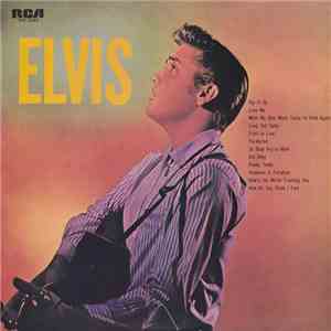 Elvis Presley - Elvis download flac mp3