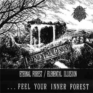 Eternal Forest - Elemental Illusion download flac mp3
