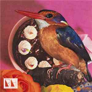 Race Horses - Goodbye Falkenburg download flac mp3