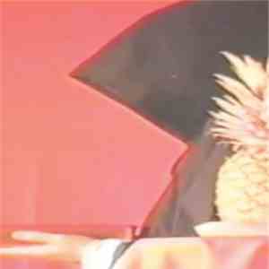 Robert Anton Pizza - If It Only Came Right Now download flac mp3