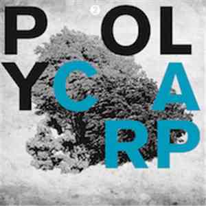 Simon Ferdinand, Johannes Albert, Tilman, Basch - Poly V.A. download flac mp3
