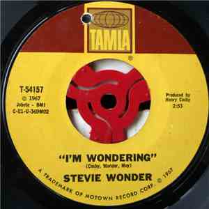 Stevie Wonder - I'm Wondering / Every Time I See You I Go Wild download flac mp3