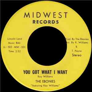 The Ebonies  - You Got What I Want download flac mp3