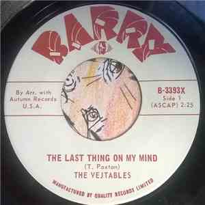 The Vejtables - The Last Thing On My Mind download flac mp3