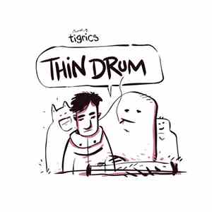 Tigrics - Thin Drum download flac mp3
