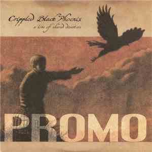 Crippled Black Phoenix - A Love Of Shared Disasters download flac mp3