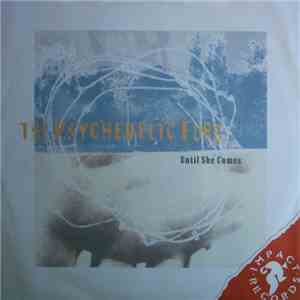 The Psychedelic Furs - Until She Comes download flac mp3