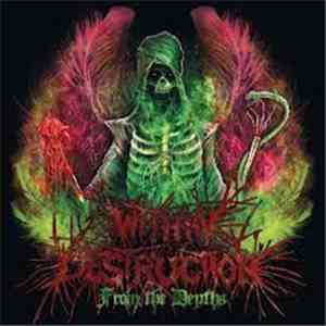 Within Destruction - From The Depths download flac mp3