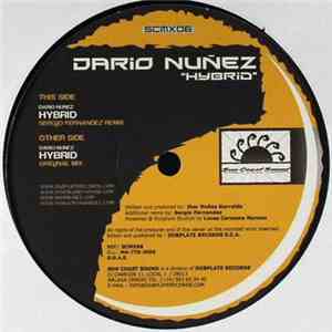 Dario Núñez - Hybrid download flac mp3