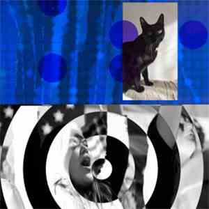 Le Tigre - I'm With Her download flac mp3