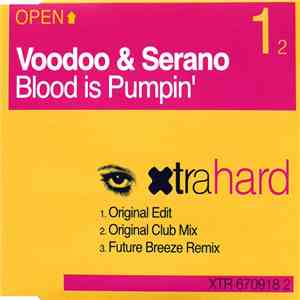 Voodoo & Serano - Blood Is Pumpin' download flac mp3