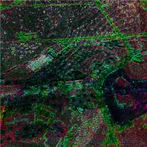 404 - Poltergeist download flac mp3