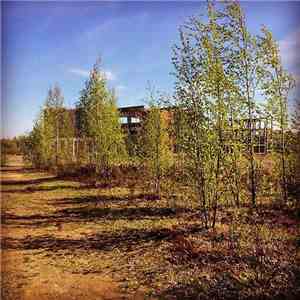 Prospekt Bol'shevikov - Square Faded Forest, Pt. 1 download flac mp3