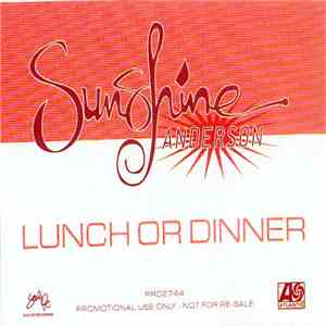 Sunshine Anderson - Lunch Or Dinner download flac mp3