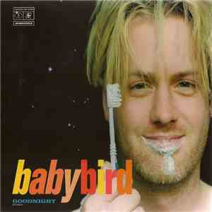 Babybird - Goodnight download flac mp3