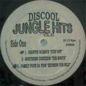 Various - Discool Jungle Hits Vol. 03 download flac mp3
