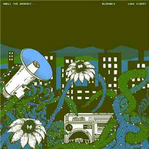 Blu Rum 13 & Luke Vibert - Smell The Urgency download flac mp3