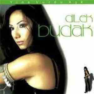 Dilek Budak - Yine Vurdu Aşk download flac mp3