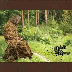 Melodie Des Vergessens - Palustre Genesis download flac mp3