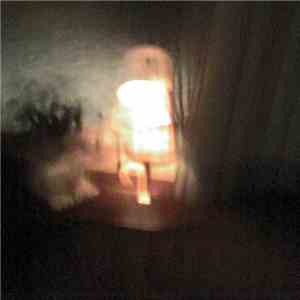 Rural Lamplight - Wolf Under The Moon's Sky download flac mp3