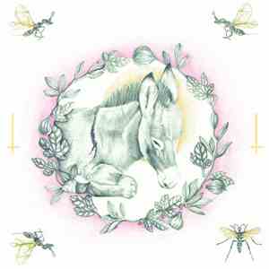 Human Behavior - Bethphage download flac mp3