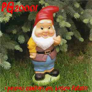 Pg2000! - I Piccoli Cantori Del Bosco Fatato download flac mp3