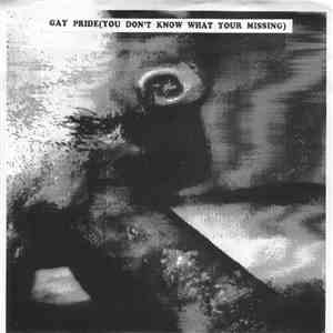 Various - Gay Pride (You Don't Know What Your Missing) download flac mp3