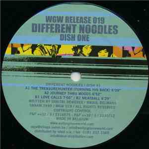 Different Noodles - Dish One download flac mp3
