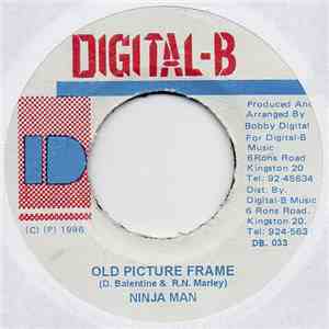 Ninja Man - Old Picture Frame download flac mp3