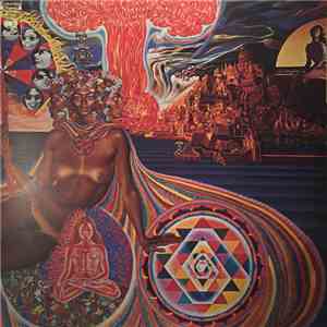 The Mooney Suzuki - Alive & Amplified download flac mp3