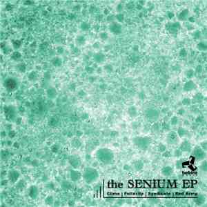 Various - The Senium EP download flac mp3
