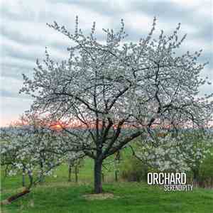 Orchard  - Serendipity download flac mp3