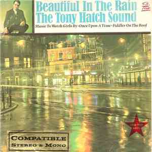 The Tony Hatch Sound - Beautiful In The Rain download flac mp3