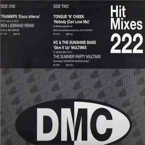 Various - Hit Mixes 222 download flac mp3