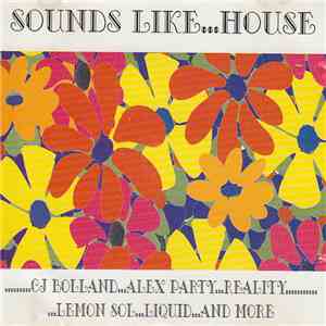 Various - Sounds Like...House download flac mp3