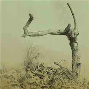 Zenjungle - Fragmented Lives download flac mp3