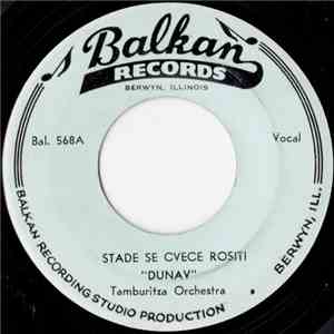Dunav Tamburitza Orchestra - Stade Sve Cvece Rositi / ChaChak Kolo download flac mp3