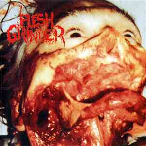 Flesh Grinder - S.P.L.A.T.T.E.R. download flac mp3