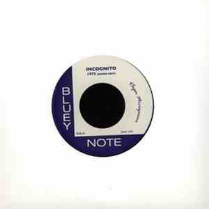 Incognito - 1975 download flac mp3